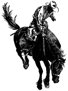 Rodeo